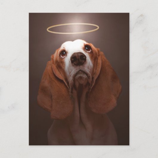 Carte Postale Basset Hound Angel (Devant)
