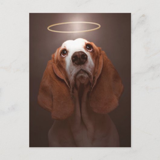 Carte Postale Basset Hound Angel (Devant)