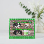 Carte Postale Basset Hound Arrêter De Regarder Ma (Debout devant)