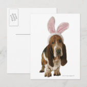 Carte Postale Basset hound avec des oreilles de lapin (Devant / Derrière)