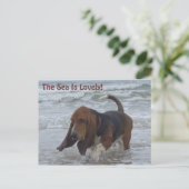 Carte Postale Basset Hound By the Sea (Debout devant)