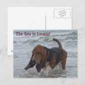 Carte Postale Basset Hound By the Sea (Devant / Derrière)