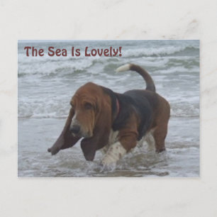Carte Postale Basset Hound By the Sea