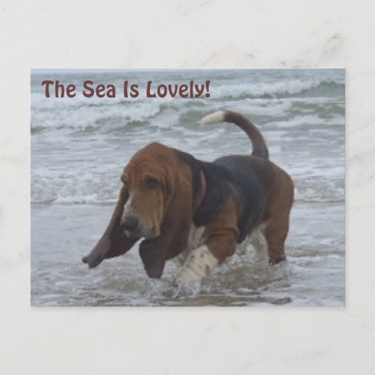 Carte Postale Basset Hound By the Sea (Devant)