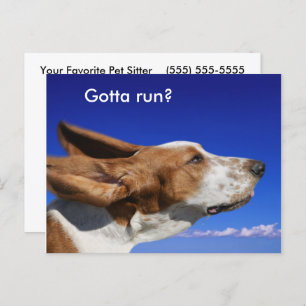 Carte Postale Basset Hound Flaveuse Oreilles dans le ciel bleu A