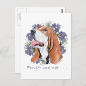 Carte Postale Basset Hound Keeps (Devant / Derrière)