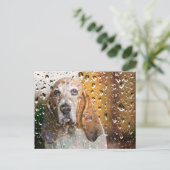 Carte Postale Basset Hound Miss You (Debout devant)