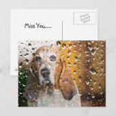 Carte Postale Basset Hound Miss You (Devant / Derrière)
