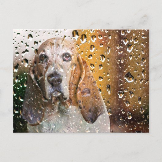 Carte Postale Basset Hound Miss You (Devant)