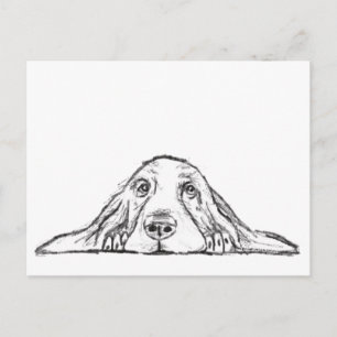 Carte Postale basset hound noir blanc yeux de chiot simple