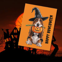 Basset hound portant des sorcières casquette & cit