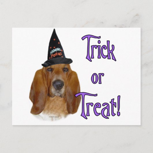 Carte Postale Basset Hound Trick (Devant)