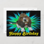 Carte postale Basset Sheldon Joyeux anniversaire (Devant / Derrière)