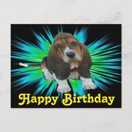 Carte postale Basset Sheldon Joyeux anniversaire (Devant)