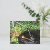 Carte Postale bassin circulaire (Debout devant)