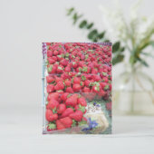 Carte Postale Bassin de fraises (Debout devant)