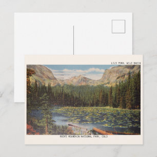 Carte Postale BASSIN SAUVAGE LILY POND, COLORADO cadeaux de faun