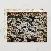 Carte Postale Bassins améliorés Floral (Devant / Derrière)