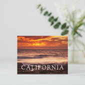 Carte Postale Bassins de marée de La Jolla (Debout devant)