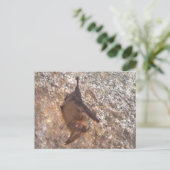 Carte Postale Bat Dans Une Grotte (Debout devant)