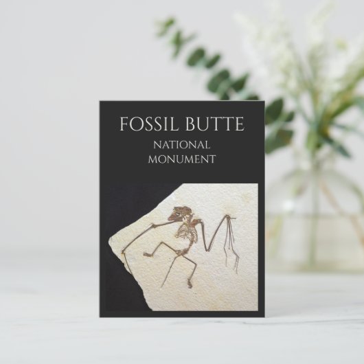 Carte Postale Bat Fossil, de Fossil Lake, Fossil Butte, WY (Debout devant)