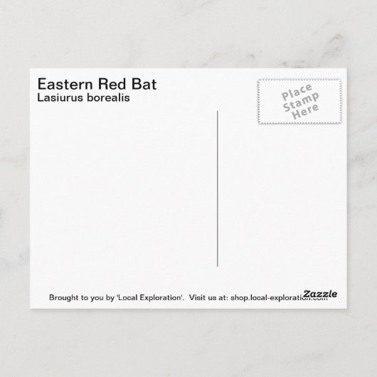 Carte Postale Bat rouge (Dos)