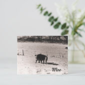 Carte Postale Bataille (Debout devant)