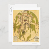 Carte Postale Bataille de Gettysburg 7 (Devant / Derrière)