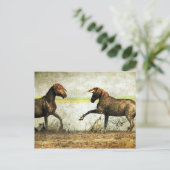 Carte Postale Bataille de Mustang (Debout devant)