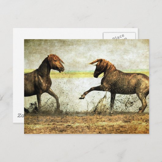 Carte Postale Bataille de Mustang (Devant / Derrière)