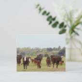 Carte Postale Bataille de Texas (Debout devant)