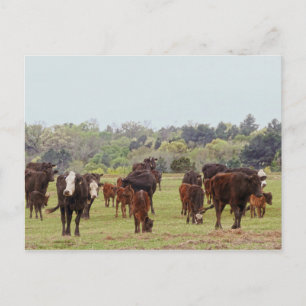 Carte Postale Bataille de Texas