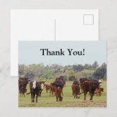 Carte Postale Bataille de Texas (Devant / Derrière)