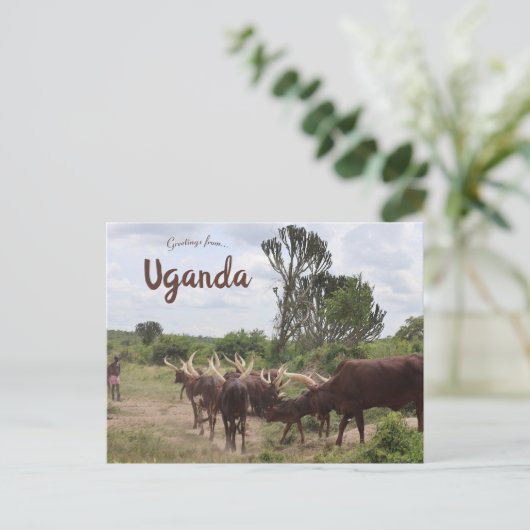 Carte Postale Bataille en Ouganda (Debout devant)