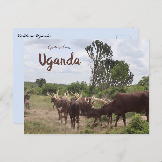 Carte Postale Bataille en Ouganda (Devant / Derrière)