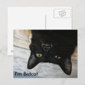 Carte Postale Batcat : Je suis Batcat Postcard (Devant / Derrière)