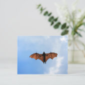 Carte Postale Bateau à fruits (Debout devant)