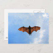 Carte Postale Bateau à fruits (Devant / Derrière)