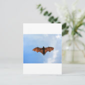 Carte Postale Bateau à fruits (Debout devant)