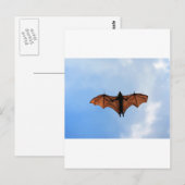 Carte Postale Bateau à fruits (Devant / Derrière)