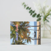 Carte Postale Bateau à Las Terrenas Samana République Dominicain (Debout devant)