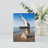 Carte Postale Bateau À Voile Et Coquille | Mozambique, Benguerra (Debout devant)