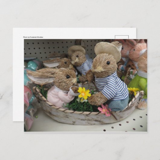 Carte Postale Bateau Bunny (Devant / Derrière)