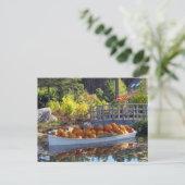 Carte postale bateau citrouille (Debout devant)