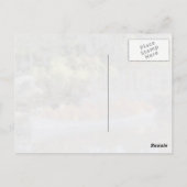 Carte postale bateau citrouille (Dos)