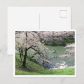 Carte Postale Bateau de printemps : Chidorigafuchi, Tokyo (Devant / Derrière)