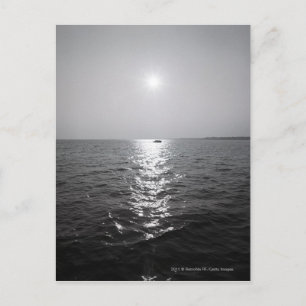 Carte Postale Bateau éloigné sur l'océan