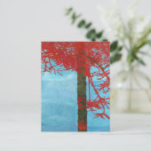 Carte Postale Bateau fantôme quatre 2012 (Debout devant)