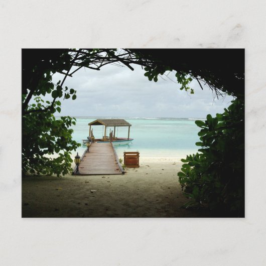 Carte Postale Bateau insulaire des Maldives (Devant)