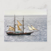 Carte Postale Bateau pirate (Devant)